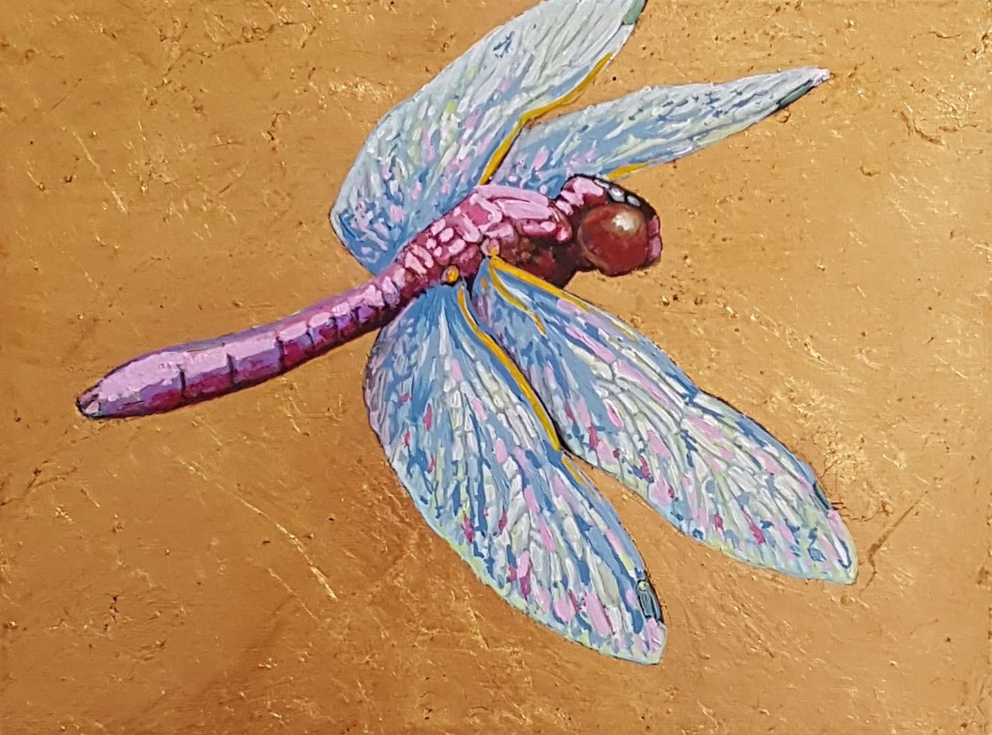 Libellule