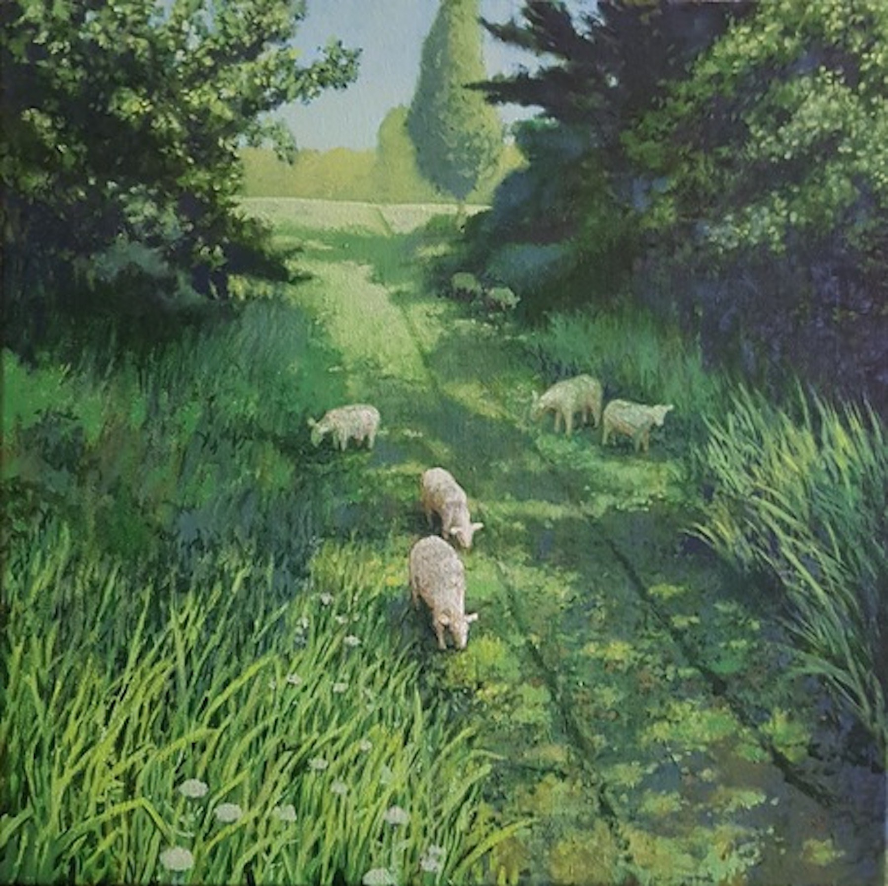 Moutons du Parc Maisonneuve
